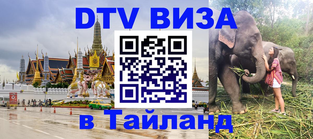 Оформление DTV визы под ключ: стоимость и тарифы, только загранпаспорт - 20.11.2025 
